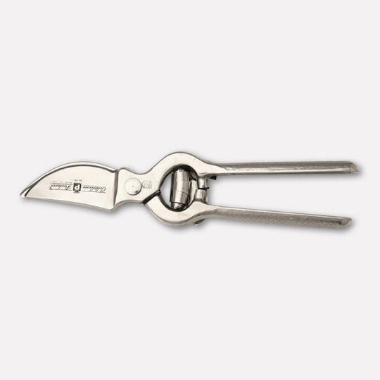 Paolucci Coltellerie 168 Baumschere Länge 23cm