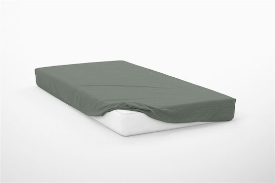 Dimcol King Size 180x200+30cm mit Gummizug Exotic Line Olive
