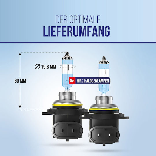 Alca 2 Pieces HIR2 Halogen Car Lamp I PX22d I 12V 55W Halogen Headlight Lamp I +200% More Brightness I Headlight Lamp I E-mark I Vehicle