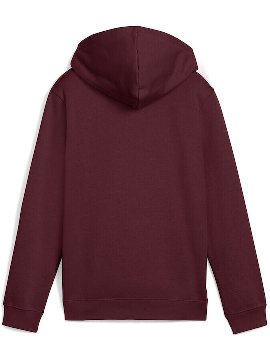 PUMA Kids Sweatshirt with Hood Burgundy Hoodie Fl