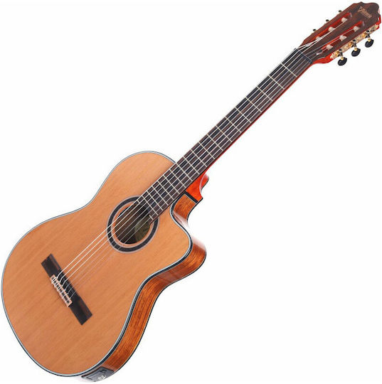 Valencia Elektro-Klassik Gitarre 4/4 Rot