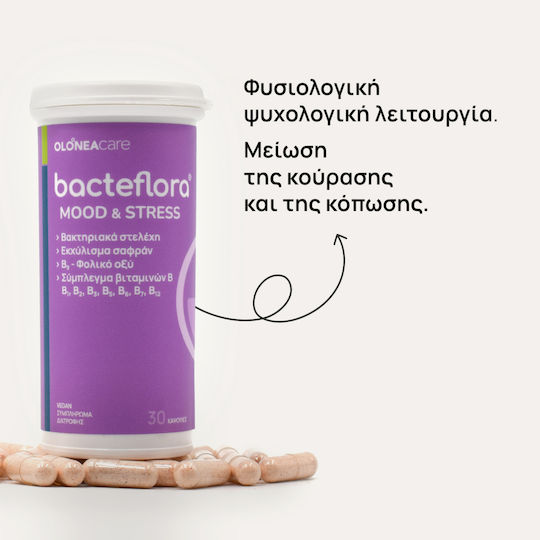 Olonea Bacteflora Mood & Stress Συμπλήρωμα για την Μνήμη & τη Συγκέντρωση 30 κάψουλες