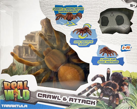 Real Wild Giant Tarantula Spider 20316 Toys