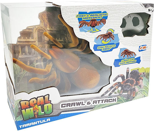 Real Wild Giant Tarantula Spider 20316 Toys