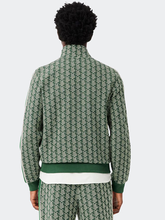 Lacoste Lacoste