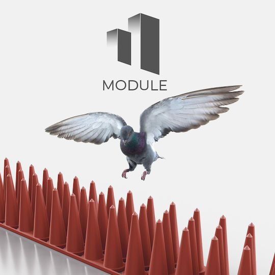 Module Σετ 48 Τμχ Ακίδες Απώθησης Πουλιών / Γατών 0.5x0.05m