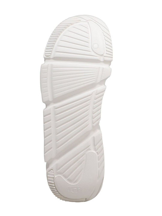 Calle Lace Women's Chunky Sneakers White