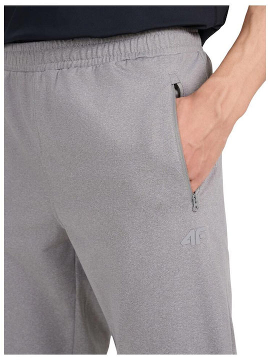 Sweatpants Gray