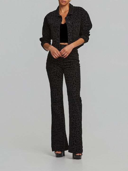 Lynne