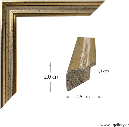 I-gallery Photo Frame with Gold Wooden Frame 20x30 I-gallery Photo Frame with Gold Wooden Frame 20x30