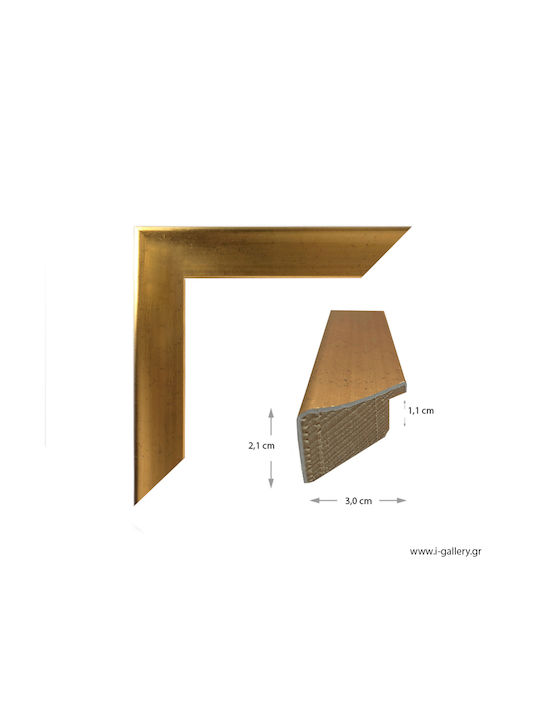 I-gallery Wooden Photo Frame with Gold Frame 711-01