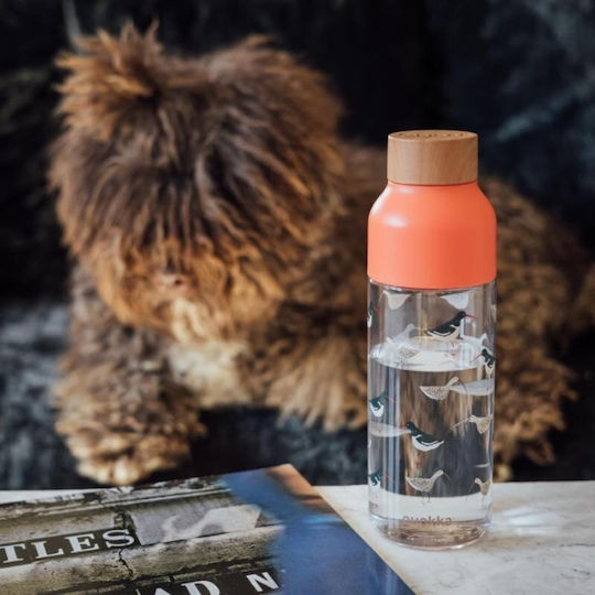 Quokka Kids Water Bottle Plastic with Screw-on Cap Non Spill 720ml