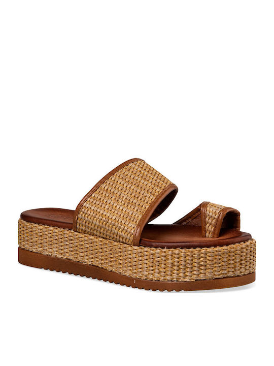 Envie Shoes Envie Shoes