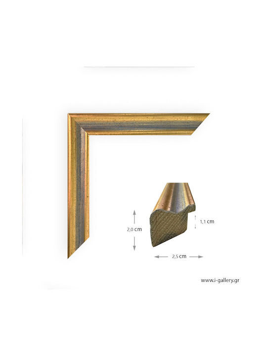 I-gallery Wooden Photo Frame With Gold Frame 2010-05