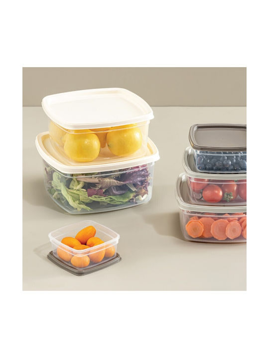 Viosarp Plastic Lunch Box Transparent 4pcs