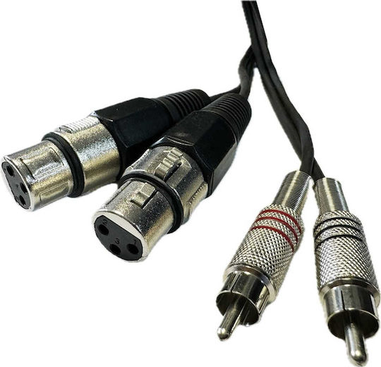 Ibiza Sound Kabel XLR-Buchse - RCA-Stecker Schwarz 1.5m CM1.5RXF-2