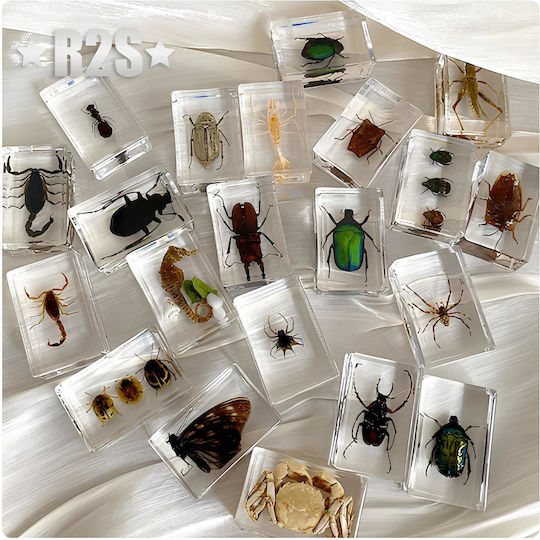 Miniatură Decorativă Set de insecte din rășină 12 buc 1buc