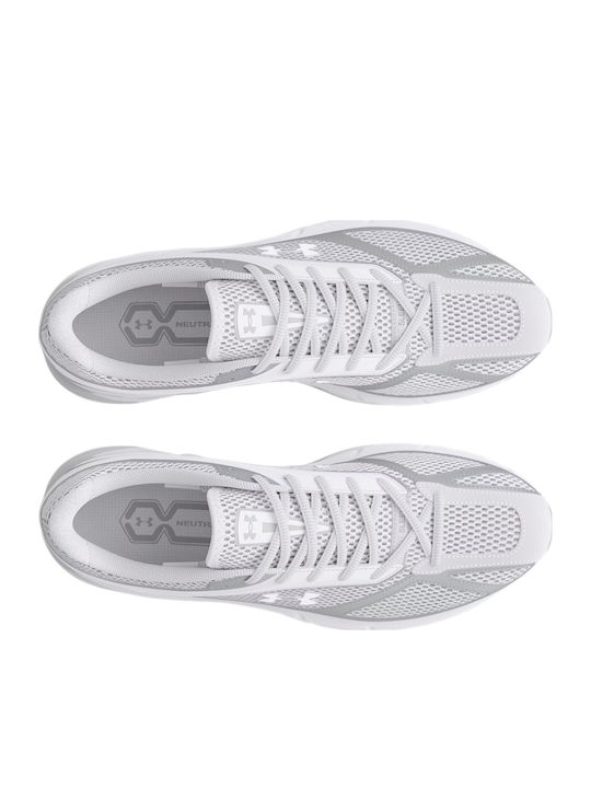 Herren Sneakers Weiß