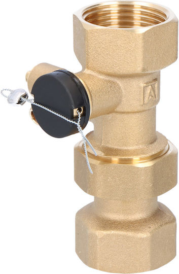 Ask Quick Coupling Expansion Vessel Inspection Valve 2 X 3/4 Inch Female Thread