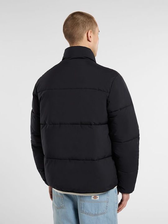Dickies Dickies