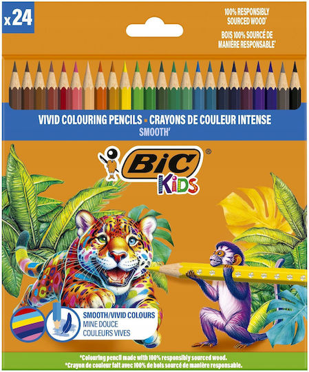 BIC Ξυλομπογιές Σετ 24 χρώματα