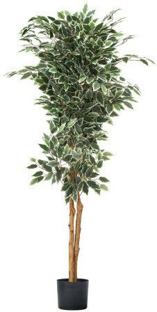 Vevor Künstlicher Ficus Baum 150cm Topfpflanze Innendekoration Rzs5ftrsslx05ve6p001v0
