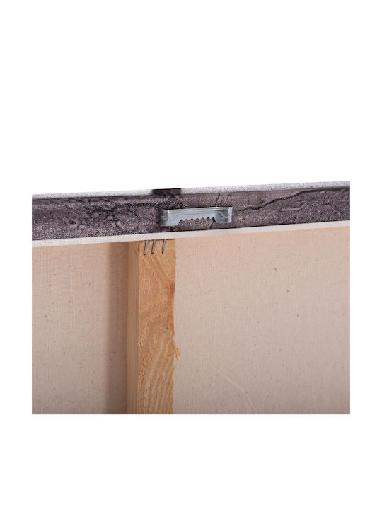 Homemarkt Панел За Стена Серия Gobi Hm4861 Печатен Платнен 98x2,5 Дебелина X68вис
