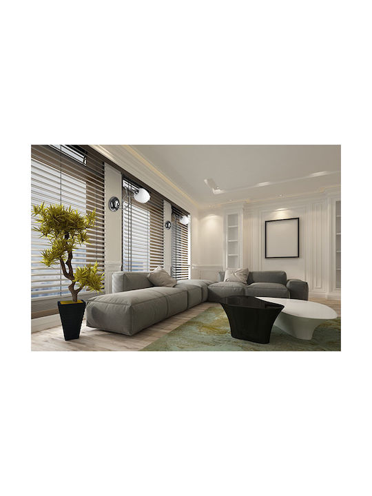 Light Home Modern Leuchte Wand mit Fassung E14 Transparent