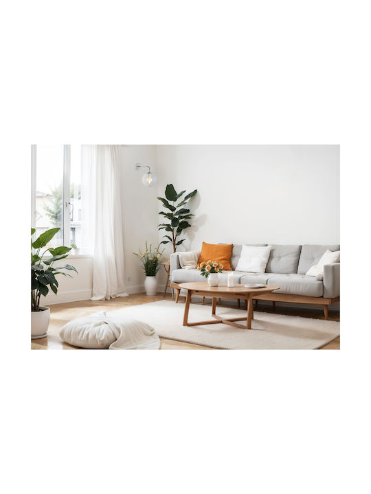 Light Home Light Home