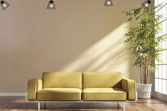 Light Home Light Home