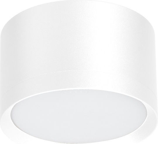 Eko Light Μονό Σποτ με Ντουί GX53 σε Λευκό Χρώμα
