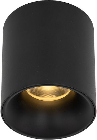 TK Lighting LED Warm to Cool White Spot in Black Color