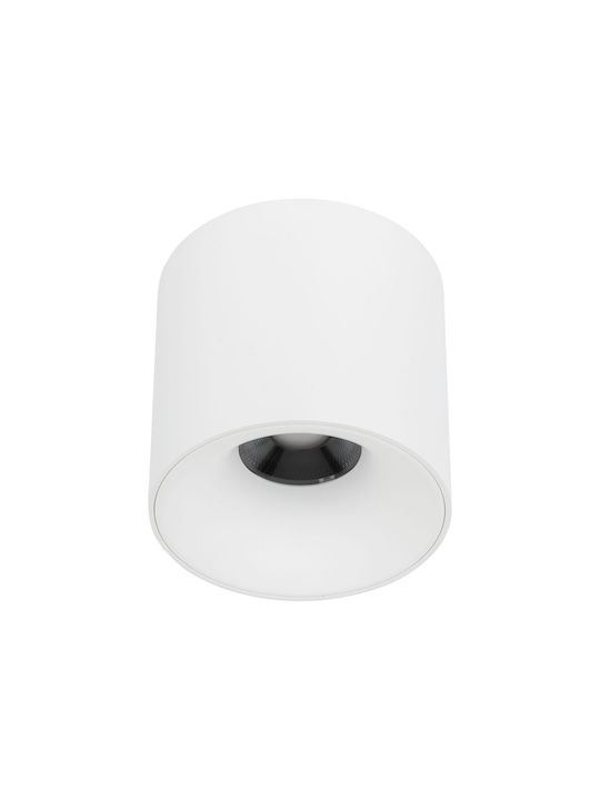 TK Lighting LED Warm zu kühlem Weiß Spot in Weiß Farbe