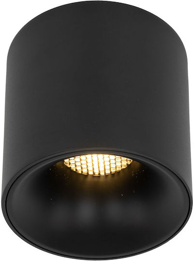 TK Lighting Spot in Schwarz Farbe