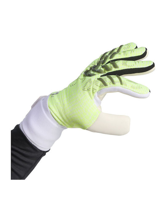 adidas Pred Gl Adults Goalkeeper Gloves Green