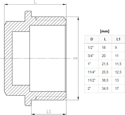 Brass Plug 1" Male Thread