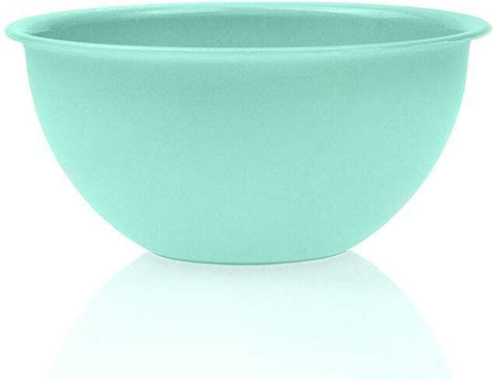 Salad Bowl Green Salad Bowl Green