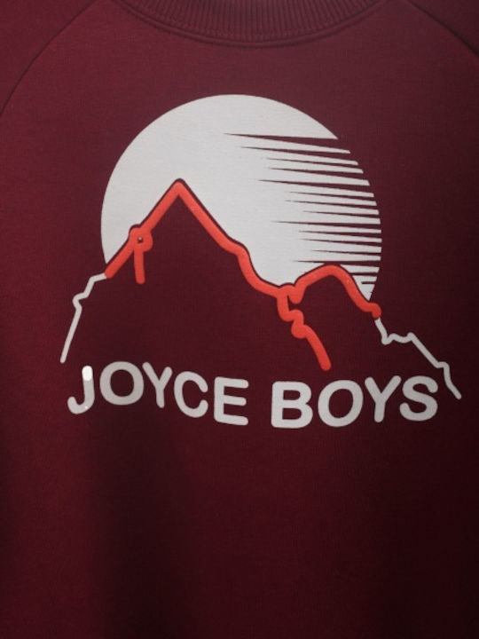 Kids Sweatshirt Burgundy