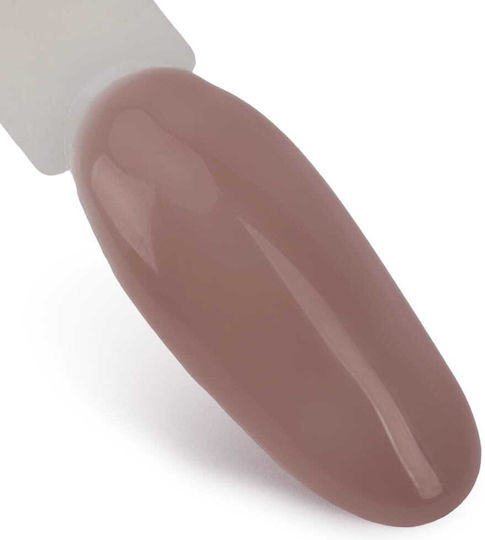 Rubber Base Medium Elastic Rubber Business Line Ntn Premium 5g No 6