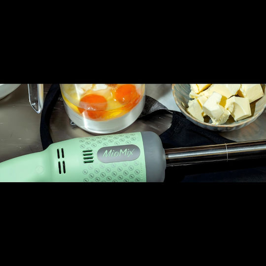 Fama Industrie Commercial Hand Blender 250W with Shaft