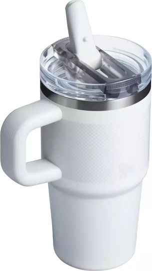 Stanley Quencher ProTour Handled Tumbler Thermos Bottle Stainless Steel 591ml Frost Fade With Straw And Handle