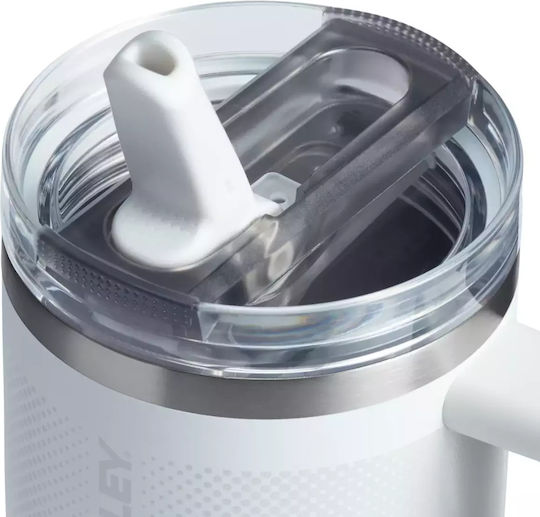 Stanley Quencher ProTour Handled Tumbler Thermos Bottle Stainless Steel 591ml Frost Fade With Straw And Handle