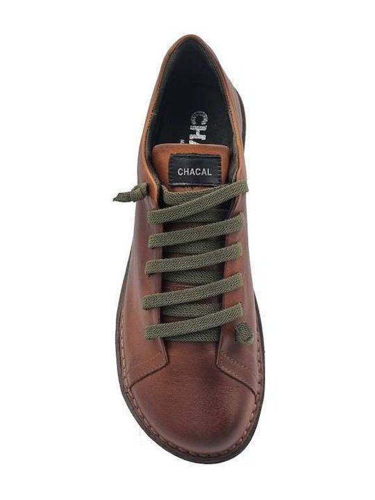 Anatomical Sneakers Ocre