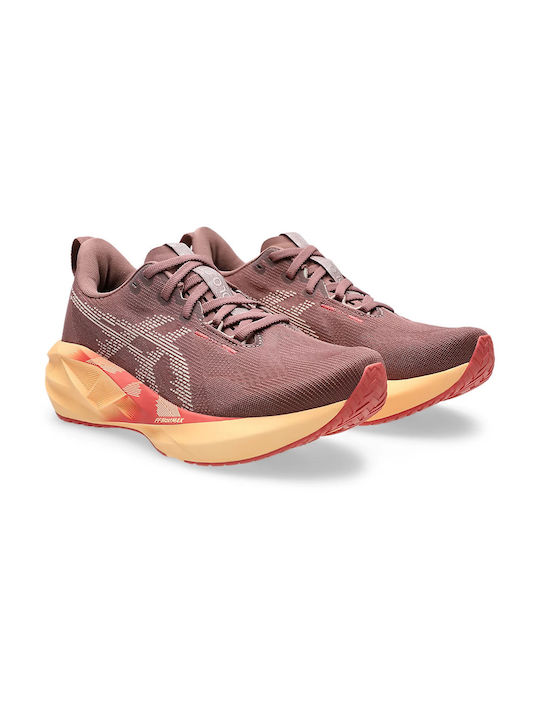 ASICS Novablast 5 1012B765-600 Femei Pantofi sport Alergare Gry