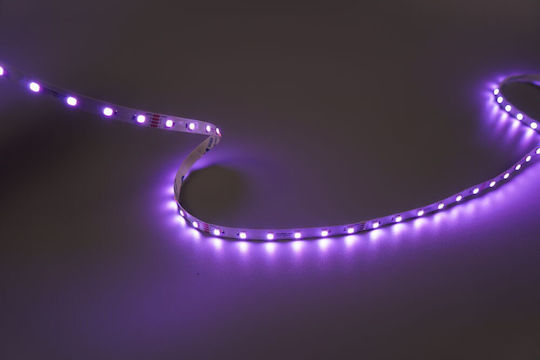 Modee Lighting Bandă LED 24V RGB Lumină 5m