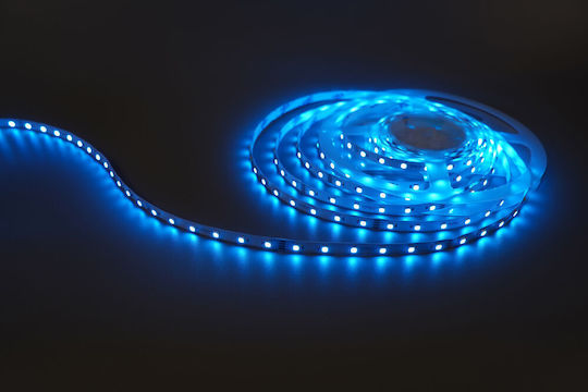 Modee Lighting Bandă LED 24V RGB Lumină 5m