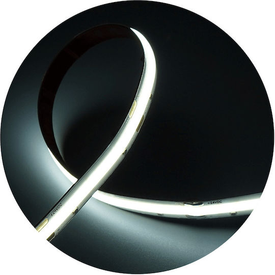 Modee Lighting LED Лента 24V Студено бяло Светлина 5м