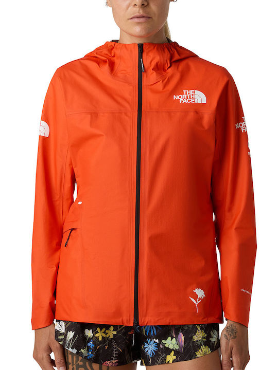 The North Face The North Face