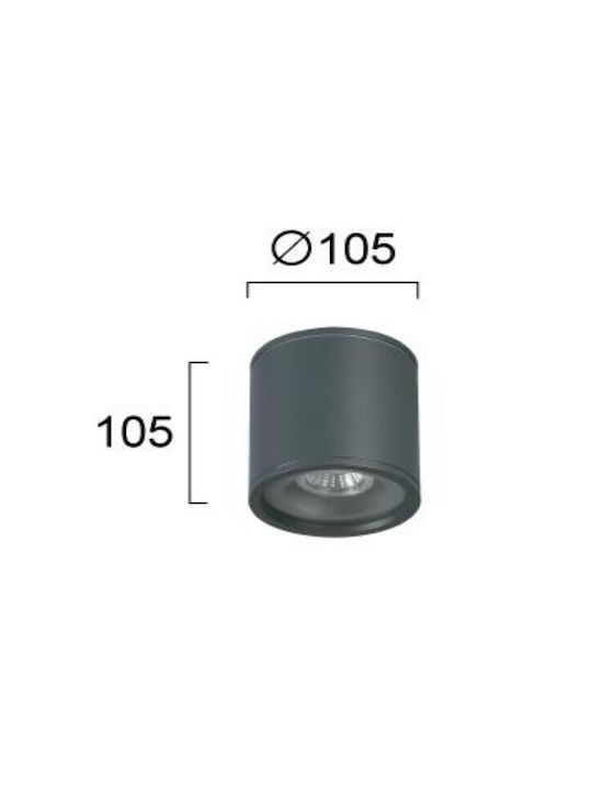 Viokef Plafonieră de Exterior GU10 în Culoare Gri 4294101
