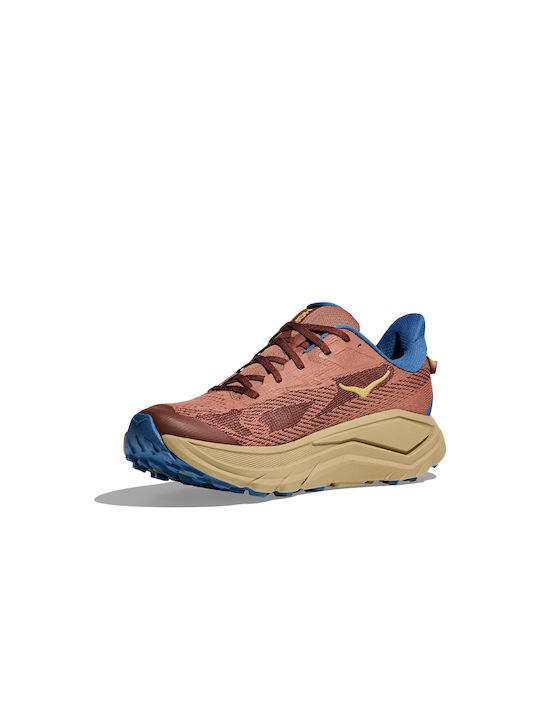 Challenger 8 Herren Sportschuhe Trail Running Skyward Blue / White